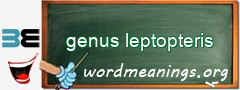 WordMeaning blackboard for genus leptopteris